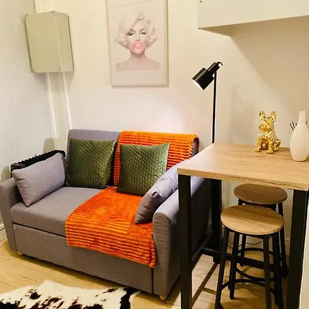 Pansiyon Parc Buttes Chaumont - Studio Mezzanine *